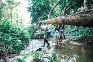 BIB: 
                            <button type="button" onclick="openModal(25435606)" class="btn btn-primary btn-sm float-right btn-popup" data-toggle="modal" data-target=".modal-high-quality">
                        <i class="fas fa-shopping-cart"></i> Add to Cart
                    </button>
                                            <button type="button" onclick="isThisMe(25435606, true)" class="btn btn-success btn-sm float-right btn-popup btn-isme hidden" data-toggle="tooltip" data-placement="bottom" title="นี่คือรูปของคุณใช่ไหม คลิกที่นี่เพื่อเอาเข้าอัลบั้ม">
                        <i class="fas fa-plus"></i> Add to album
                    </button>
                    <button type="button" onclick="isThisMe(25435606, false)" class="btn btn-warning btn-sm float-right btn-popup btn-isnotme hidden">
                        <i class="fas fa-ban"></i> Remove from album
                    </button>